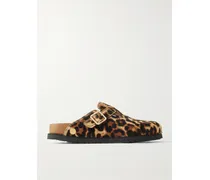 Boston Calf Hair Clogs - Animal Print