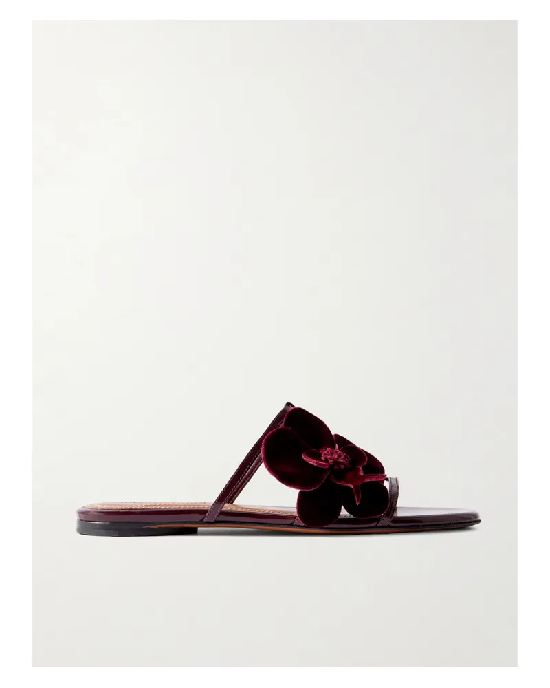 Zimmermann Orchid Appliquéd Velvet-trimmed Glossed-leather Slides - Burgundy Burgundy