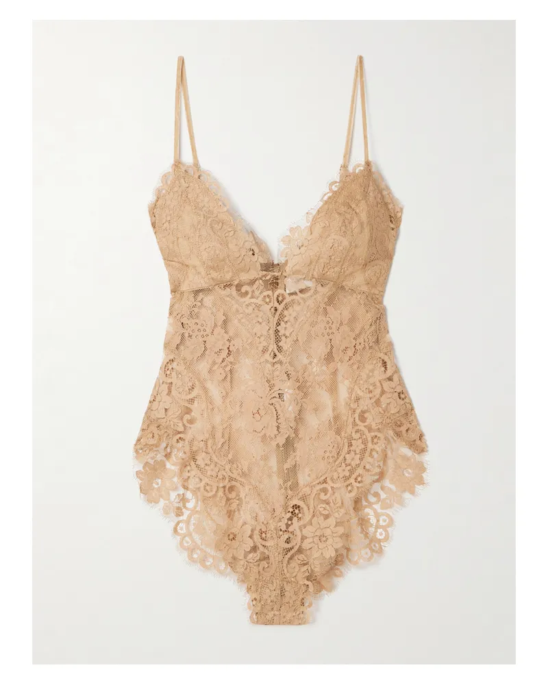 Zimmermann Illusion Velvet-trimmed Lace Bodysuit - Brown Brown