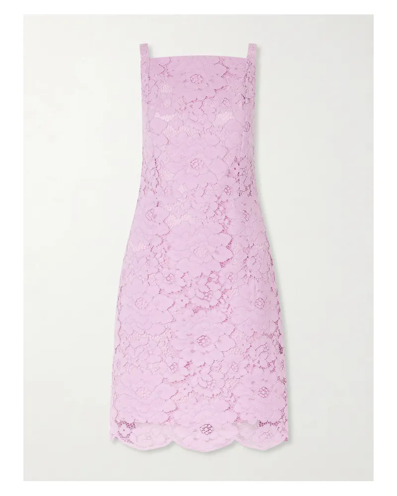 Patou Floral-embroidered Cotton-blend Guipure Lace Midi Dress - Pink Pink
