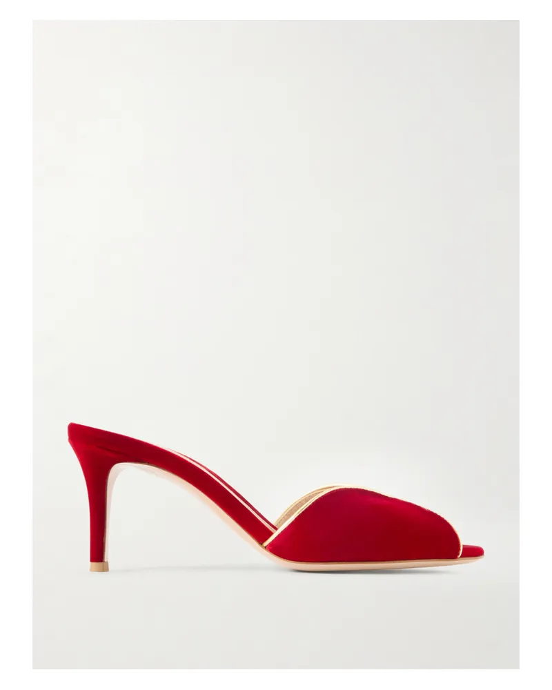 Gianvito Rossi 70 Leather-trimmed Velvet Mules - Red Red