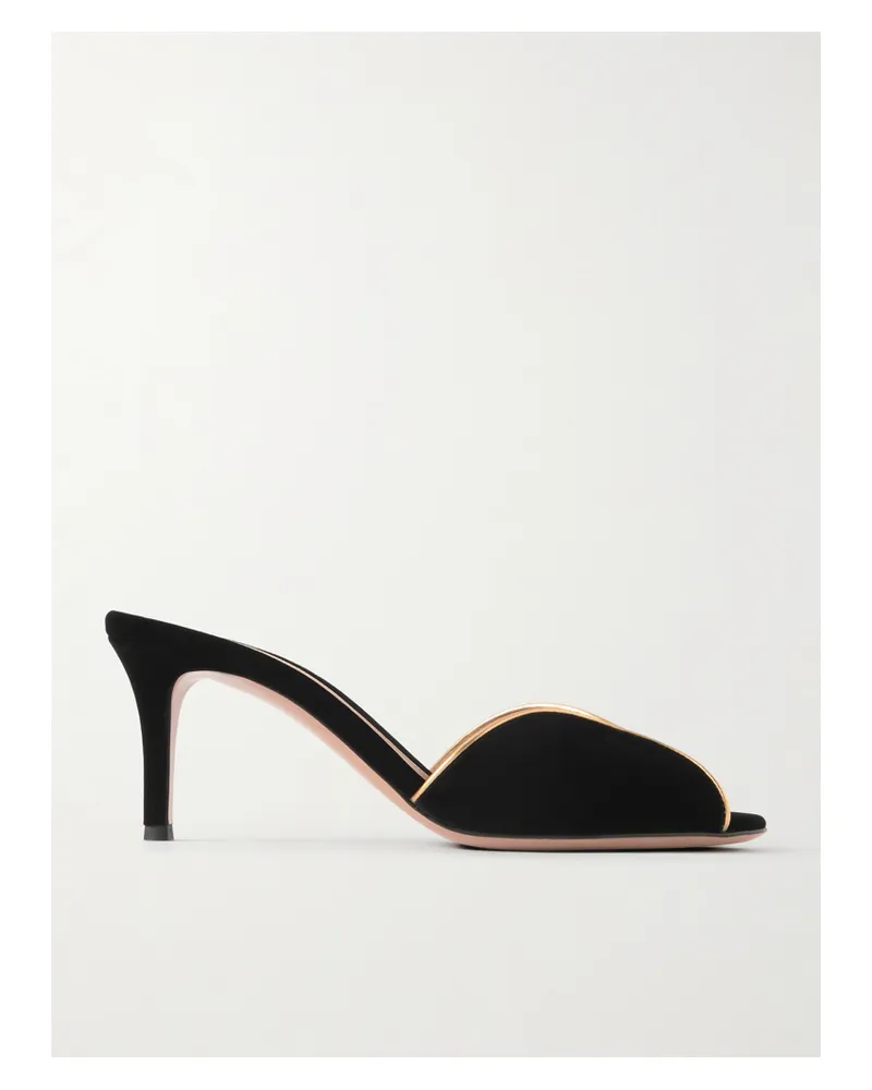 Gianvito Rossi 70 Leather-trimmed Velvet Mules - Black Black