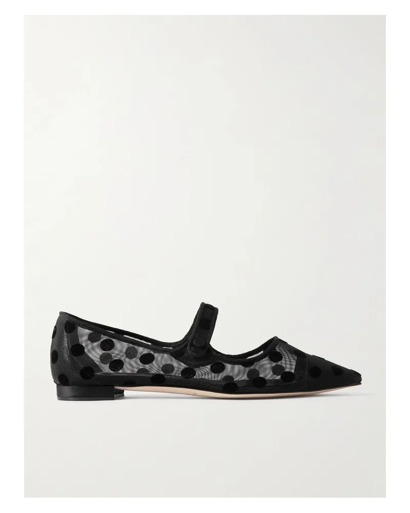 Manolo Blahnik Campari Mary-jane-ballerinas Aus Mesh Mit Flockprint Und Ripsbandbesätzen - Schwarz Schwarz