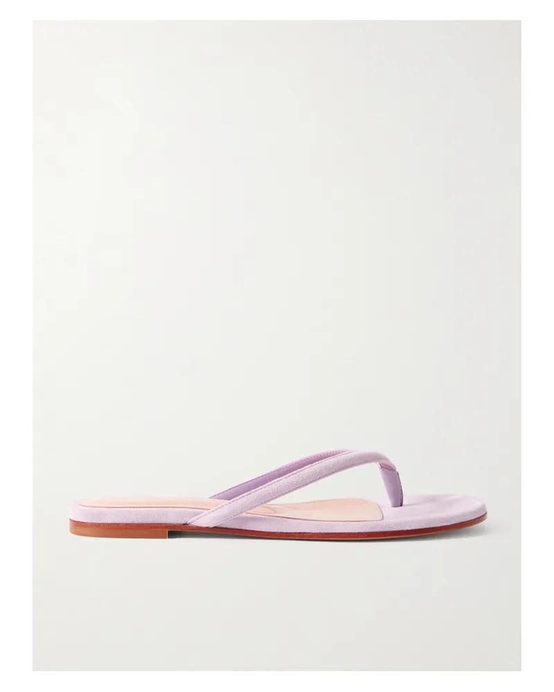 Gianvito Rossi Calypso Suede Sandals - Purple Purple