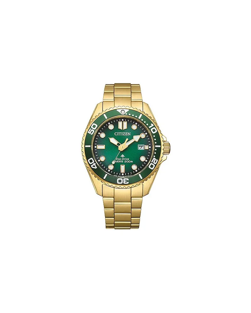 Citizen Herrenuhr Eco-Drive Gold