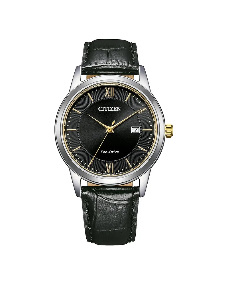 Citizen Herrenuhr Leder Eco-Drive Silber