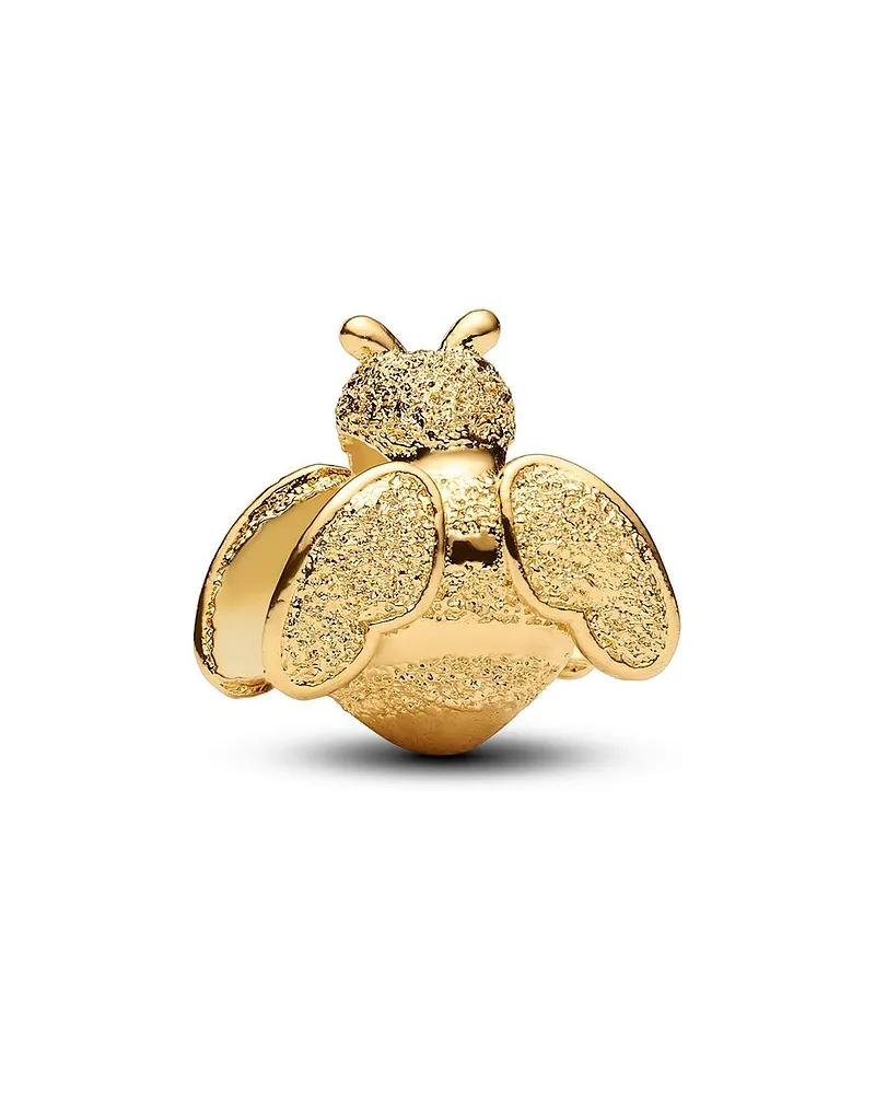 Pandora Charm Moments Gold