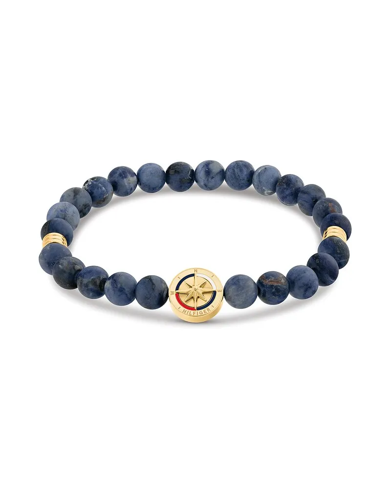 Tommy Hilfiger Armband COMPASS Gold