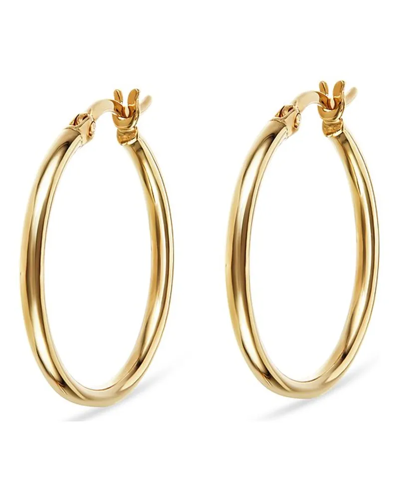 FAVS. Creolen Gelbgold