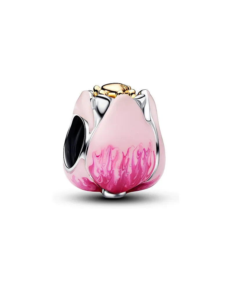 Pandora Charm Moments Pink