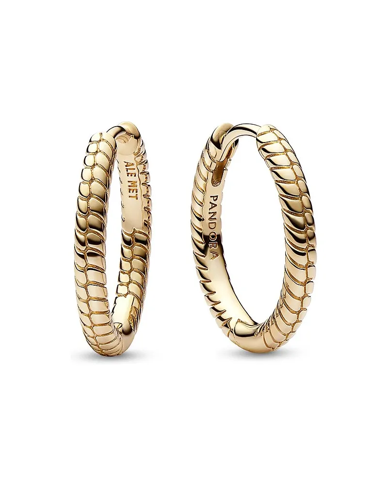 Pandora Creolen Moments Gold