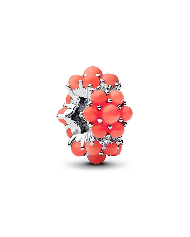 Pandora Charm Moments Rot