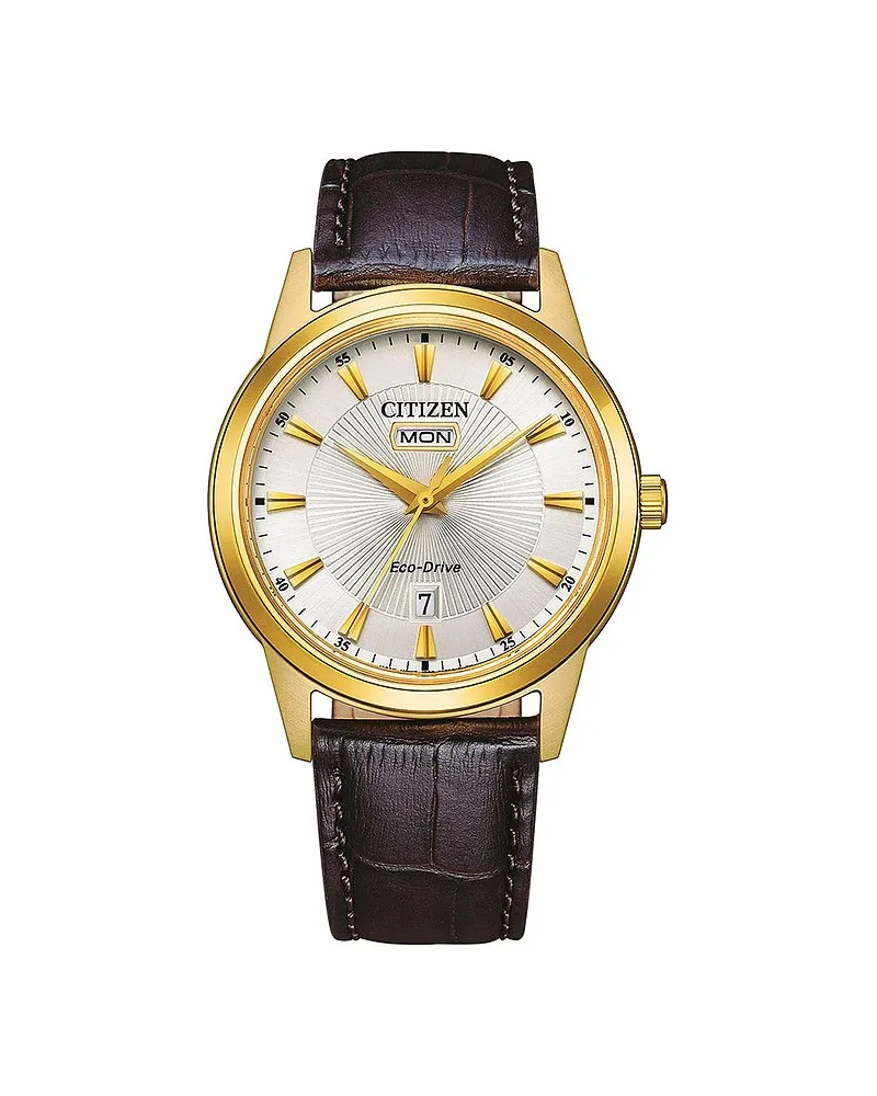 Citizen Herrenuhr Leder Sport Eco Drive Gold