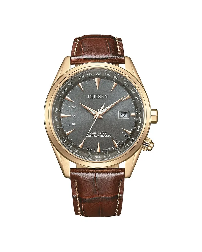 Citizen Herrenuhr Funkuhr Gold