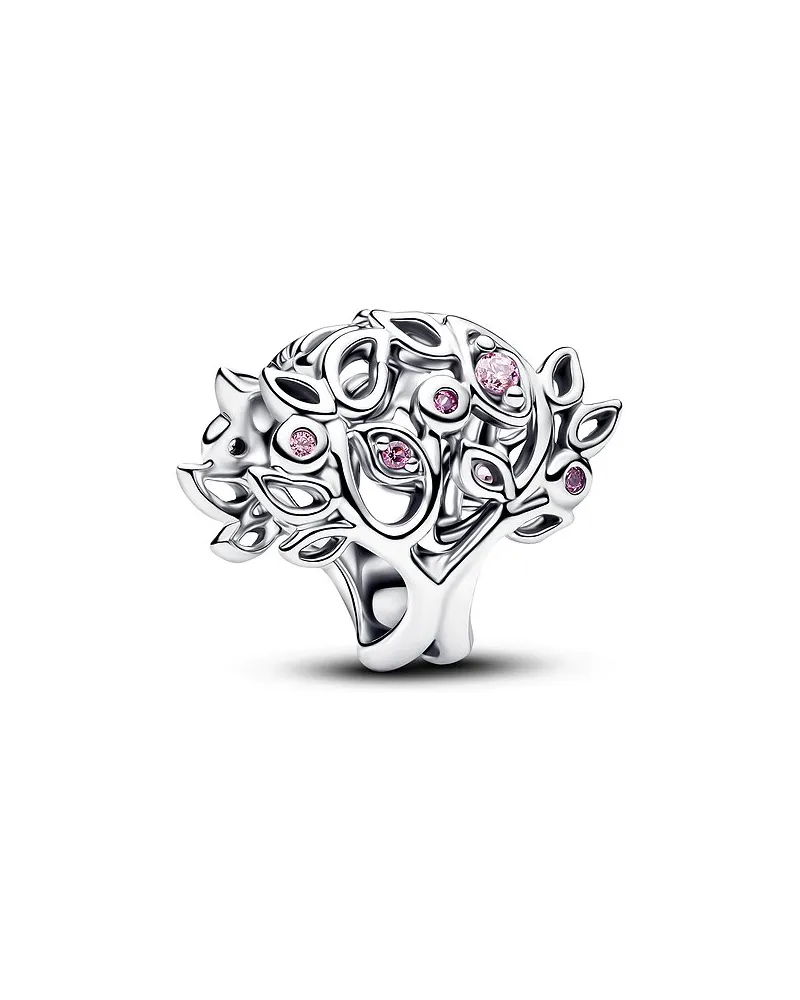 Pandora Charm Moments Pink