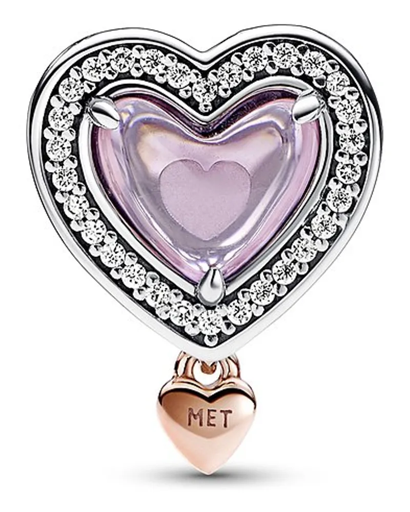 Pandora Charm Moments Bicolor