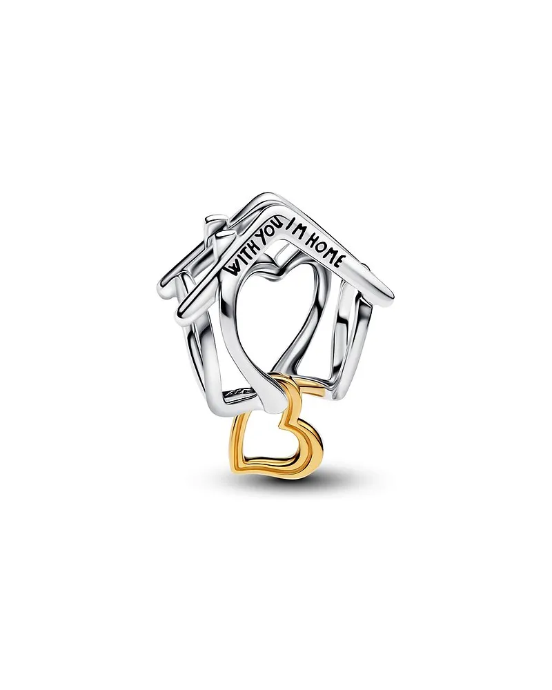 Pandora Charm Moments Bicolor