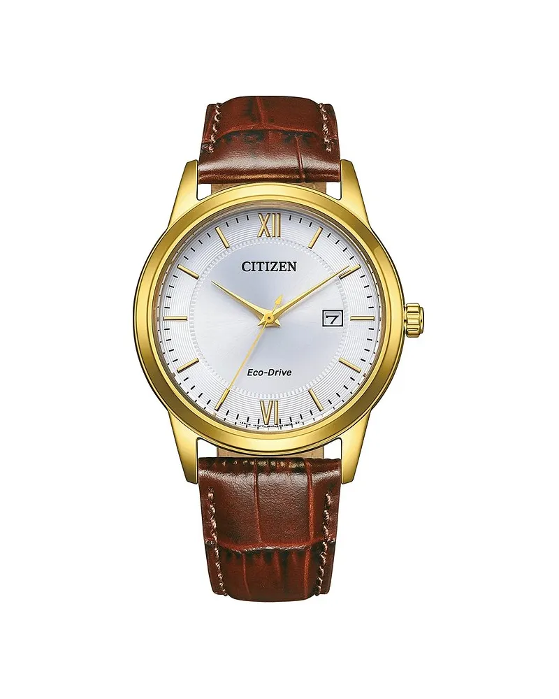 Citizen Herrenuhr Leder Eco-Drive Gold
