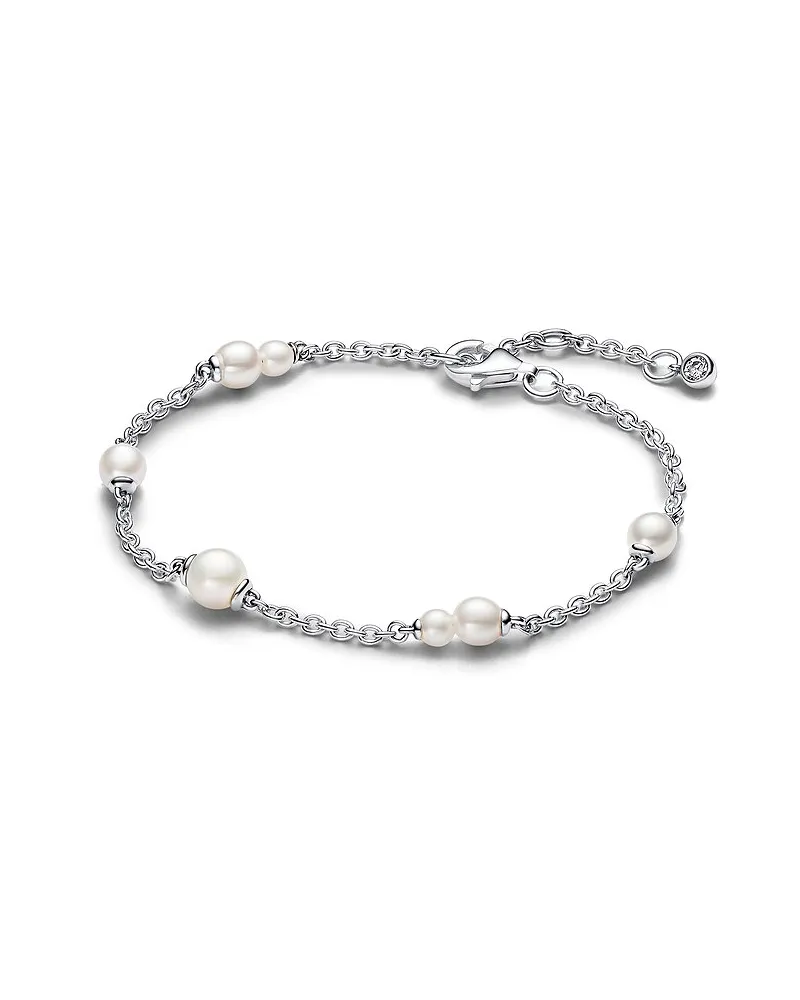 Pandora Armband Pandora Timeless Silber