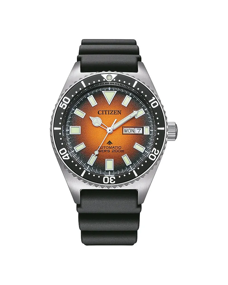 Citizen Herrenuhr Promaster Silber