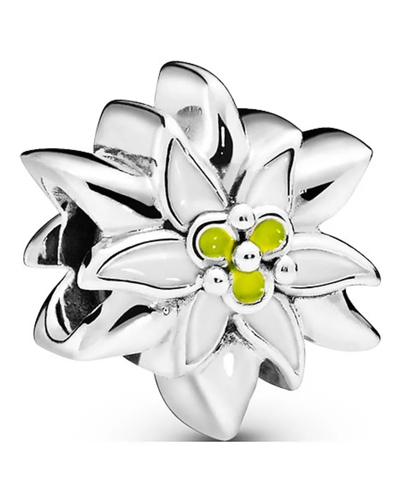 Pandora Charm Moments Edelweiß Silber