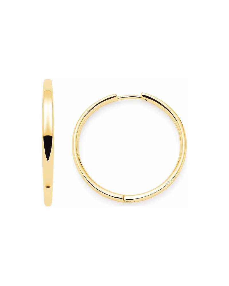 Leonardo Creolen Gold