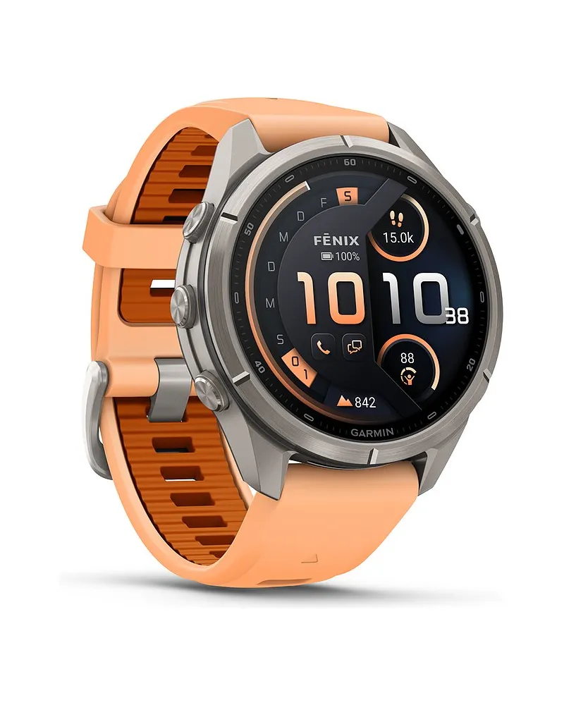 Garmin Smartwatch Fenix Silber