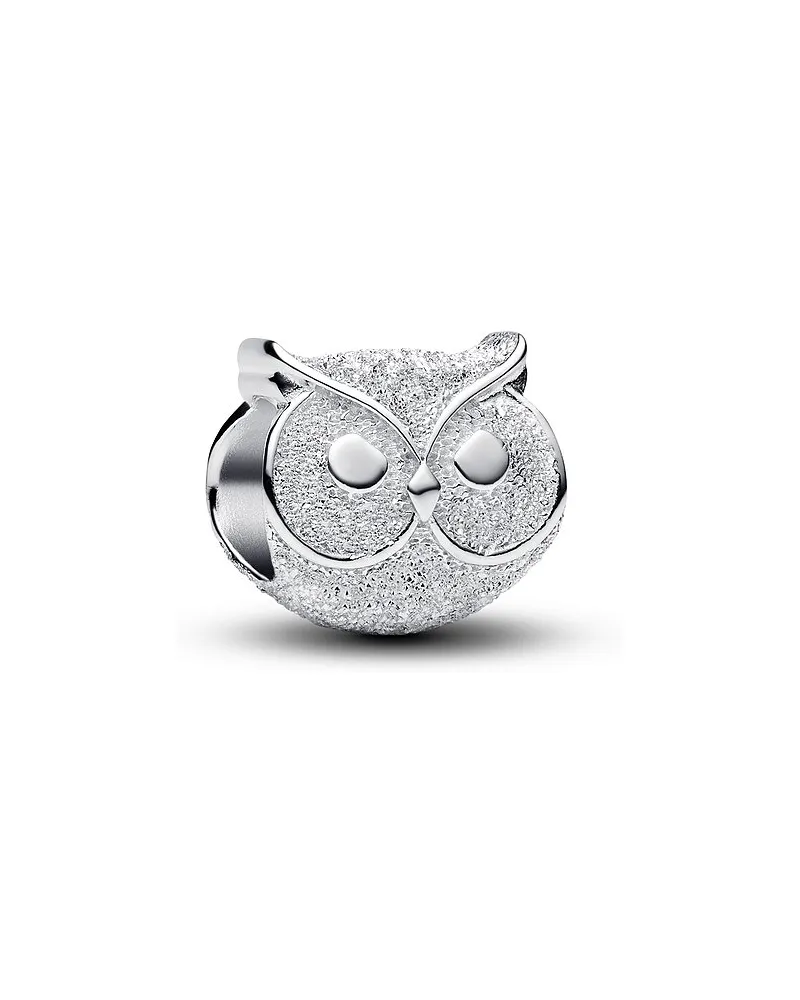 Pandora Charm Moments Silber