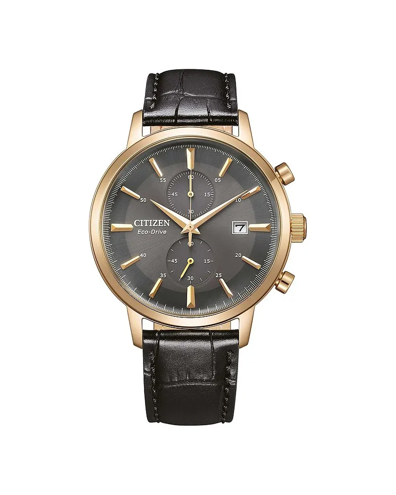Citizen Chronograph Chronograph Gold