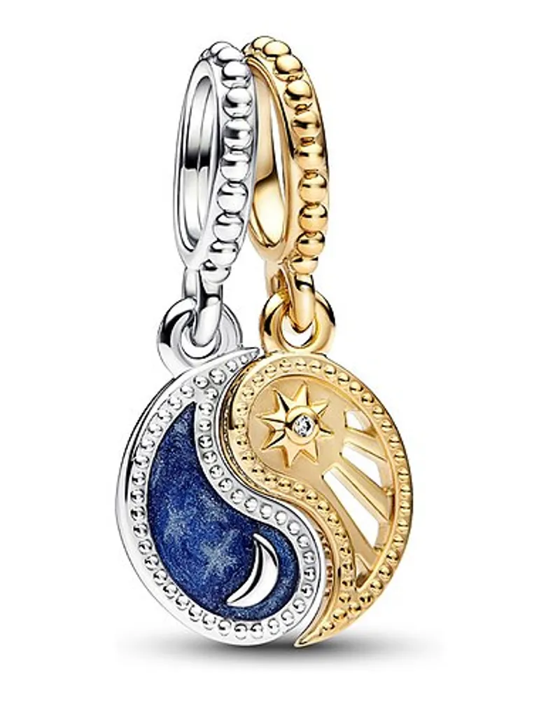 Pandora Anhänger Moments Bicolor
