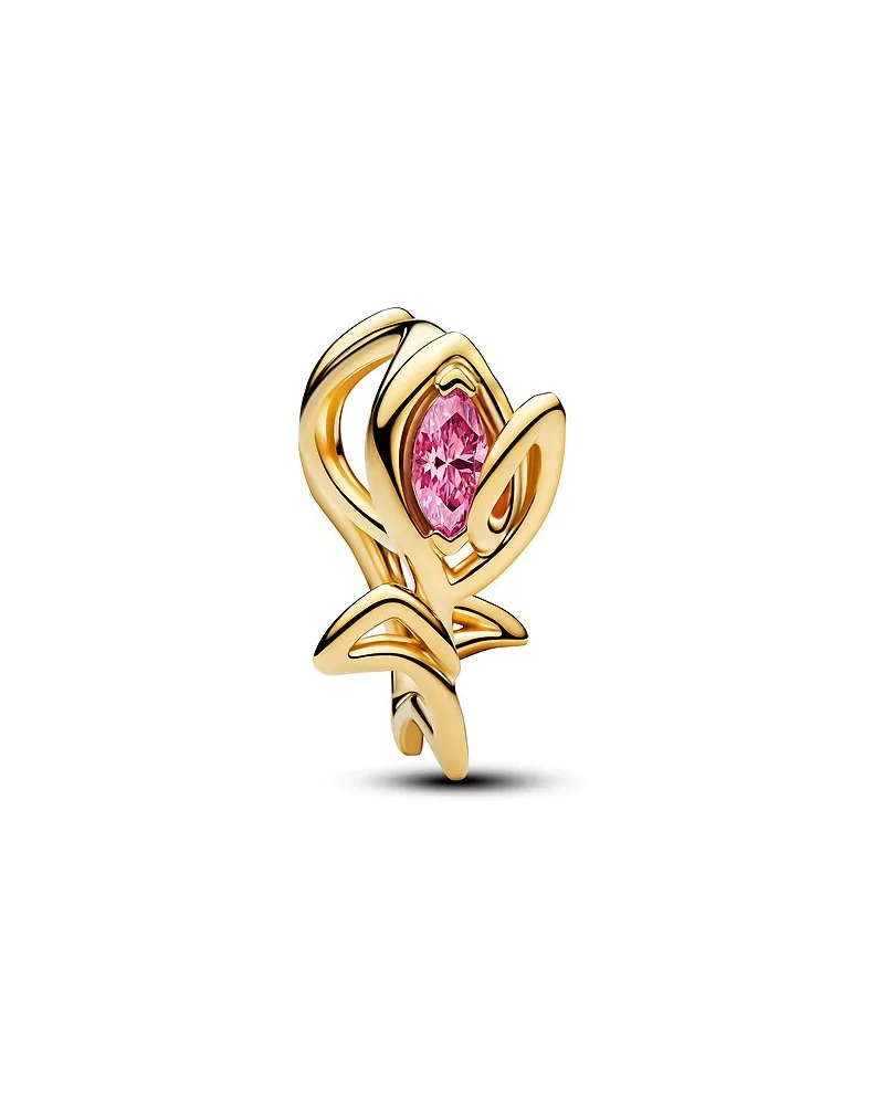 Pandora Charm Moments Pink