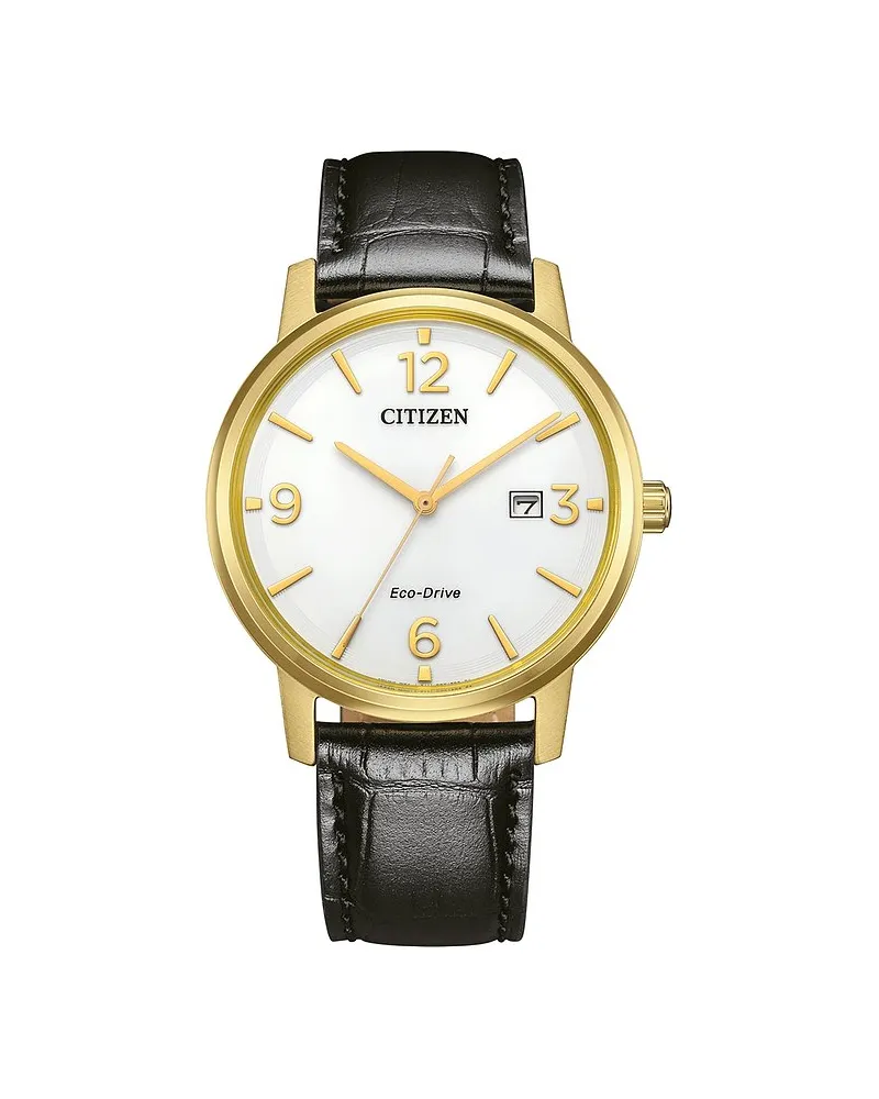 Citizen Herrenuhr Leder Bicolor