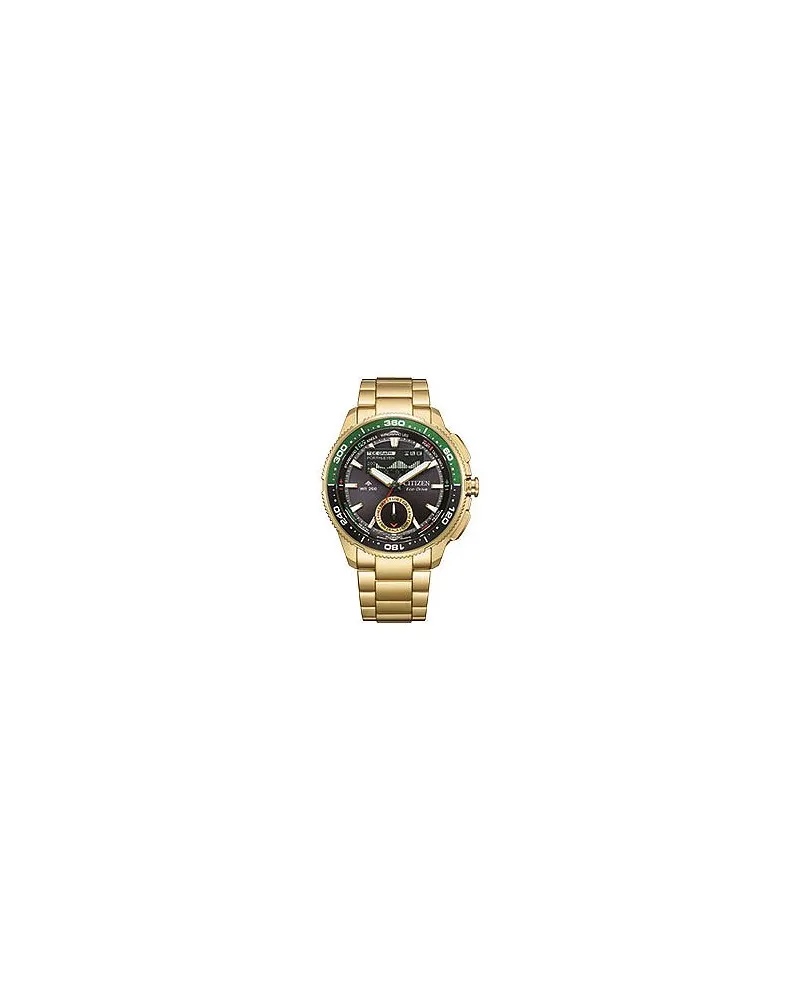 Citizen Herrenuhr Promaster Wave Tracker Gold