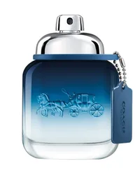 Coach Blue Man Eau de Toilette 100 ml 