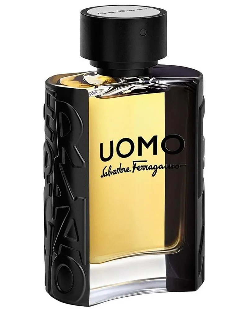 Ferragamo Uomo Eau de Toilette 100 ml 