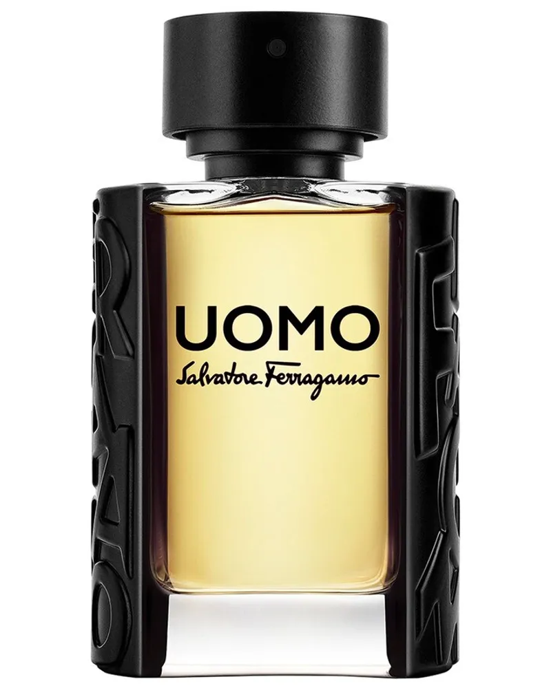 Ferragamo Uomo Eau de Toilette 100 ml 