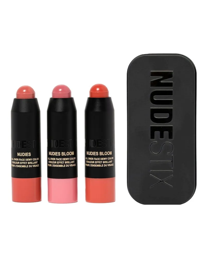 NUDESTIX Pretty Blush Mini Kit Sets & Paletten 