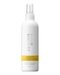 Philip Kingsley Maximizer Root Boosting Spray Haarspray & -lack 250 ml 