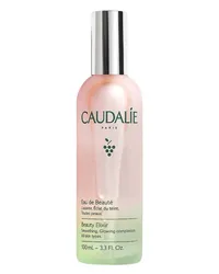 Caudalie Eau de Beauté Gesichtsspray 100 ml 