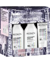 Redken Weihnachtsset 2024 Shampoo 