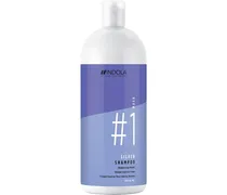 Silver Shampoo 1500 ml