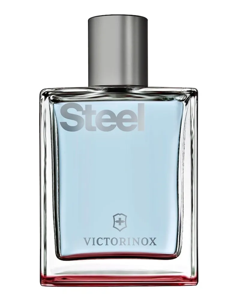 Victorinox Steel Eau de Toilette 100 ml 