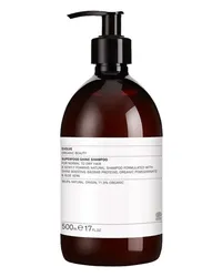 Evolve Organic Beauty Superfood Shine Shampoo 500 ml 