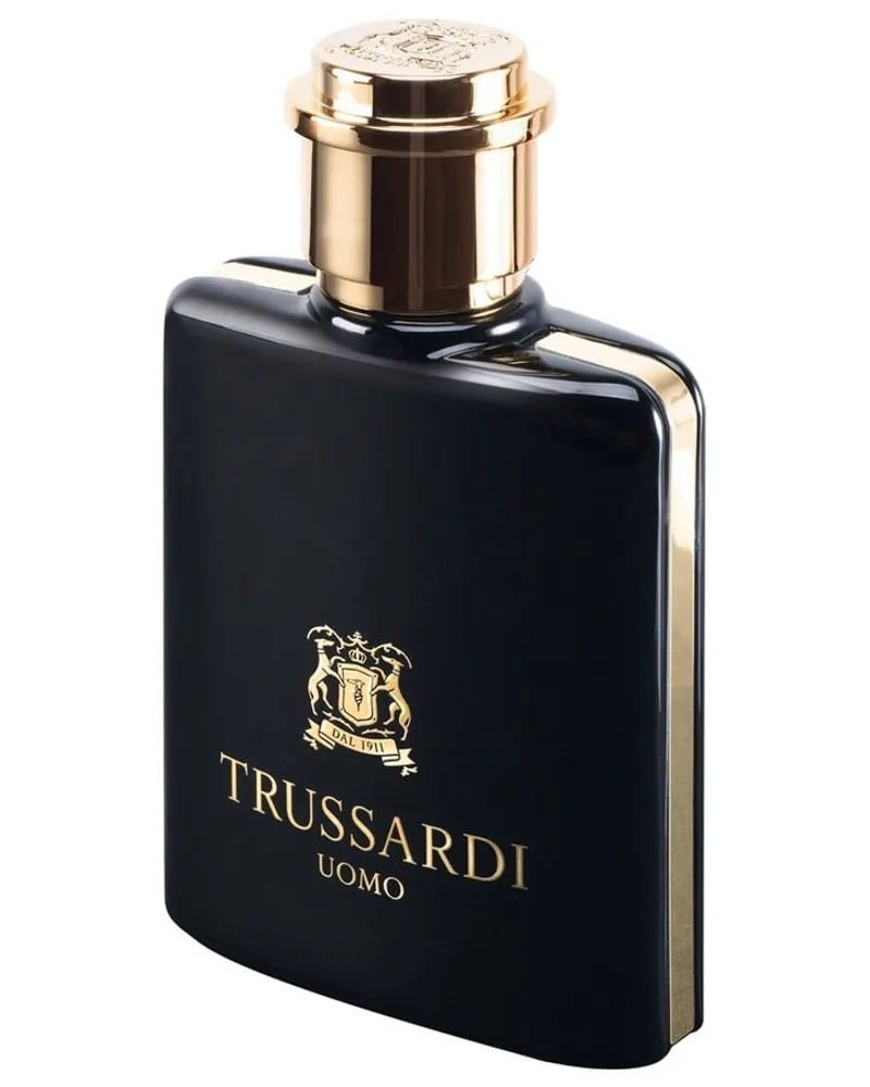 Trussardi Uomo Eau de Toilette 100 ml 