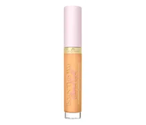Born This Way Ethereal Light Concealer 5 ml Gingersnap