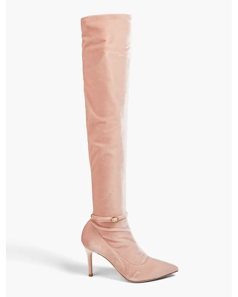 Gianvito Rossi Ribbon Boot 85 Overknees aus Samt Pink