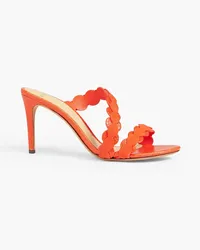 Alexandre Birman Barbara 85 Mules aus Veloursleder und Leder mit Schlangeneffekt und Muschelsaum Orange