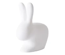 Rabbit chair with rechargeable LED