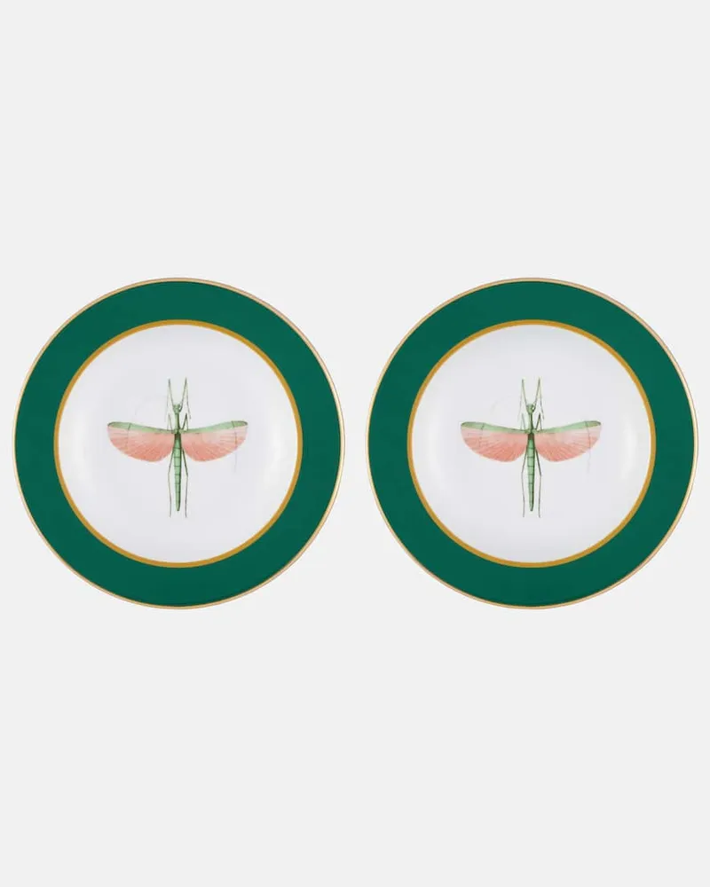 La DoubleJ Set Libellula aus zwei Suppentellern Grün