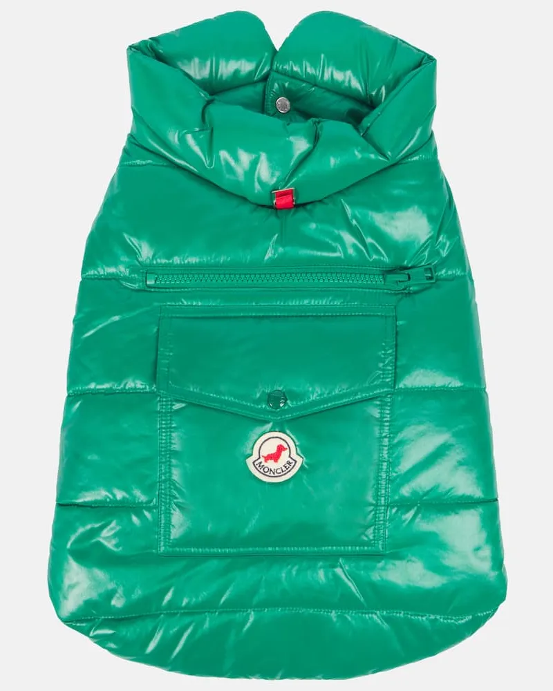 Moncler Poldo Dog Couture Mantel fuer Hunde Gruen